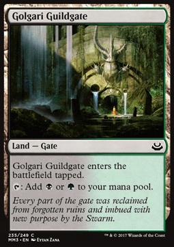 

2x Golgari Guildgate MM3 Pjotrekkk * Gratisy Pjotr