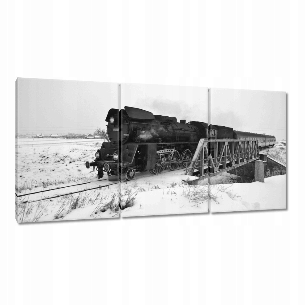 

Obrazy 120x60 Skład Ol49-59 w ruchu