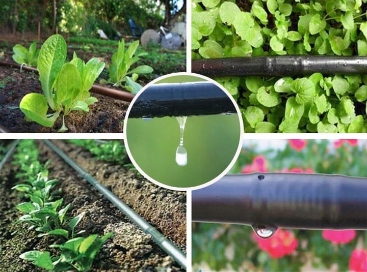 Kapková závlaha s čerpadlem 12V pro zavlažování Fotton Ft 223 1/2"