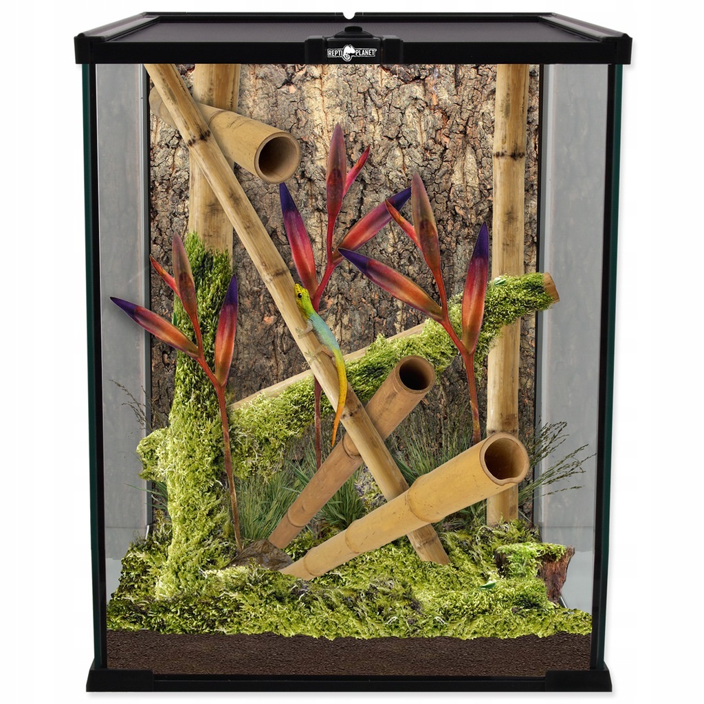 

Reptiplanet Terrarium 20X20X30 Dla Pająka Owada