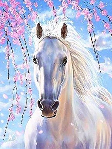 

Obraz do malowania po numerach z Ramą Zestaw na pr