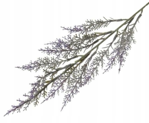

Lawenda gałązka ozdobna Violet 48 cm