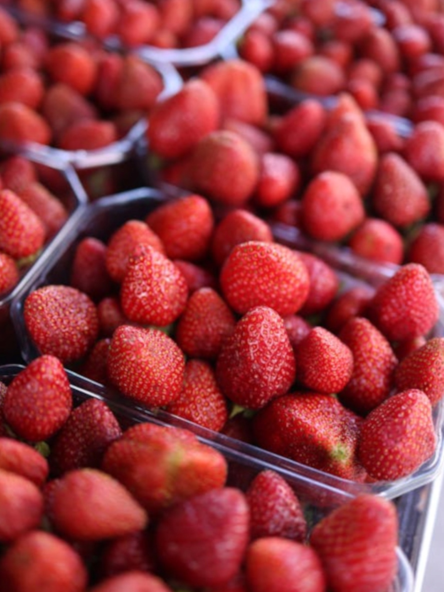 POJEMNIKI NA MALINY TRUSKAWKI 500G GARANT 400SZT Marka inna