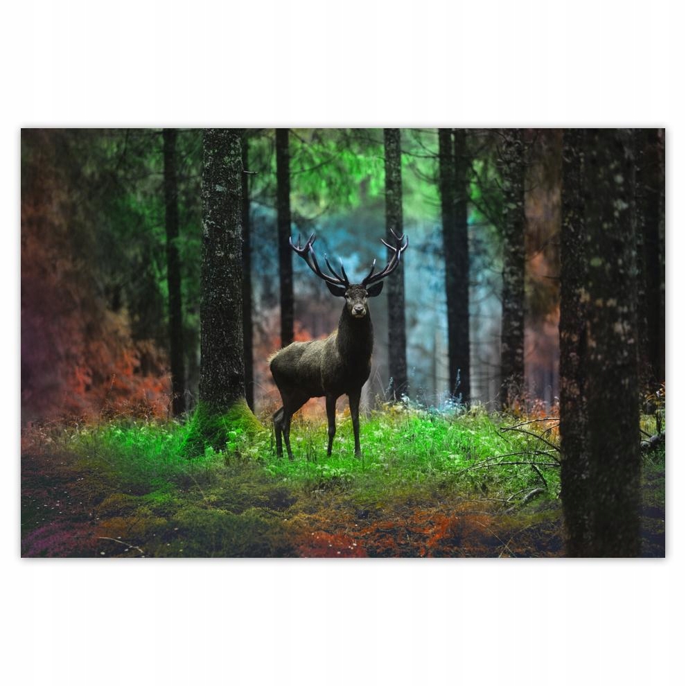 

Plakat 93x62 Jeleń w bajecznym lesie