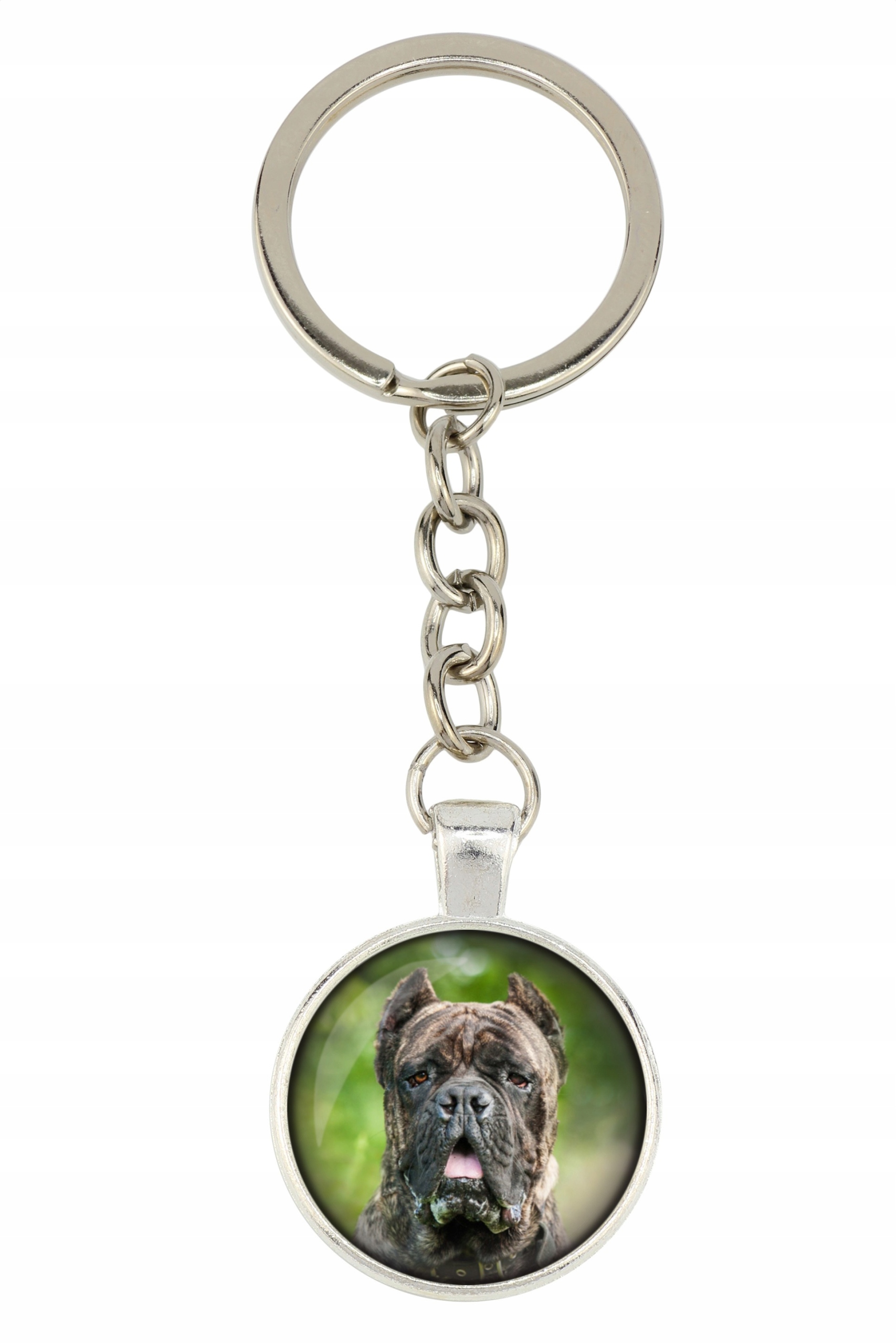 

Cane Corso Brelok Twoje zdjęcie foto Handmade