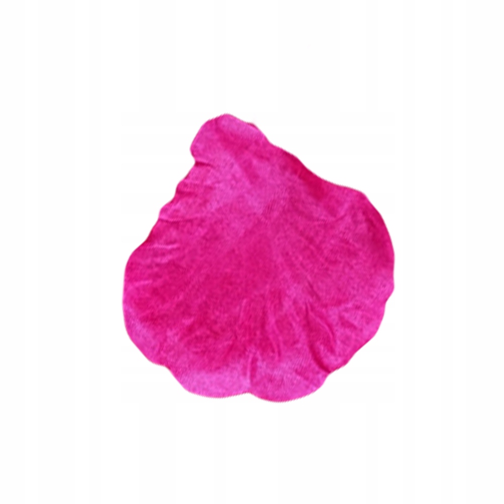 500 SZTUK FIOLETOWYCH PŁATKÓW KWIATÓW IDEALNYCH DO PROJEKTÓW ŚLUBNYCH I RZEMIEŚLNICZYCH