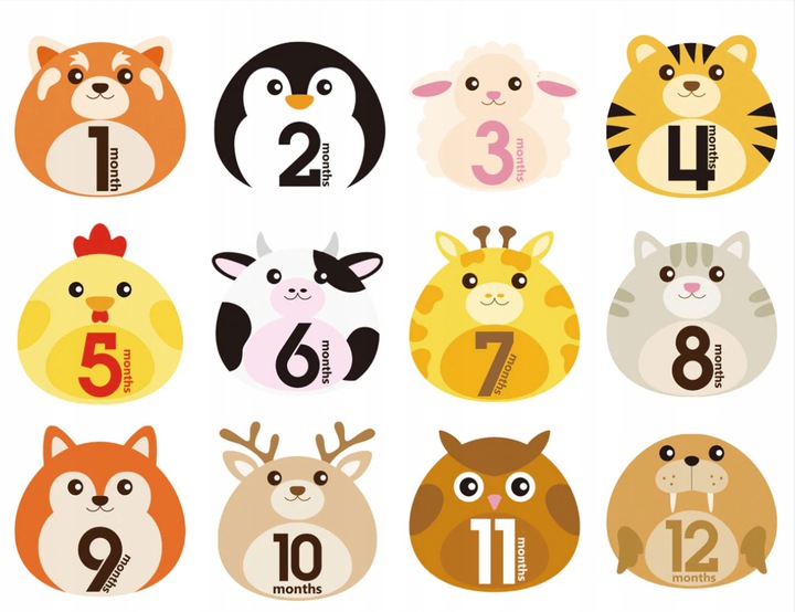 NAKLEJKI DO ZDJĘĆ PIERWSZY ROK ŻYCIA 12MIESIĘCY