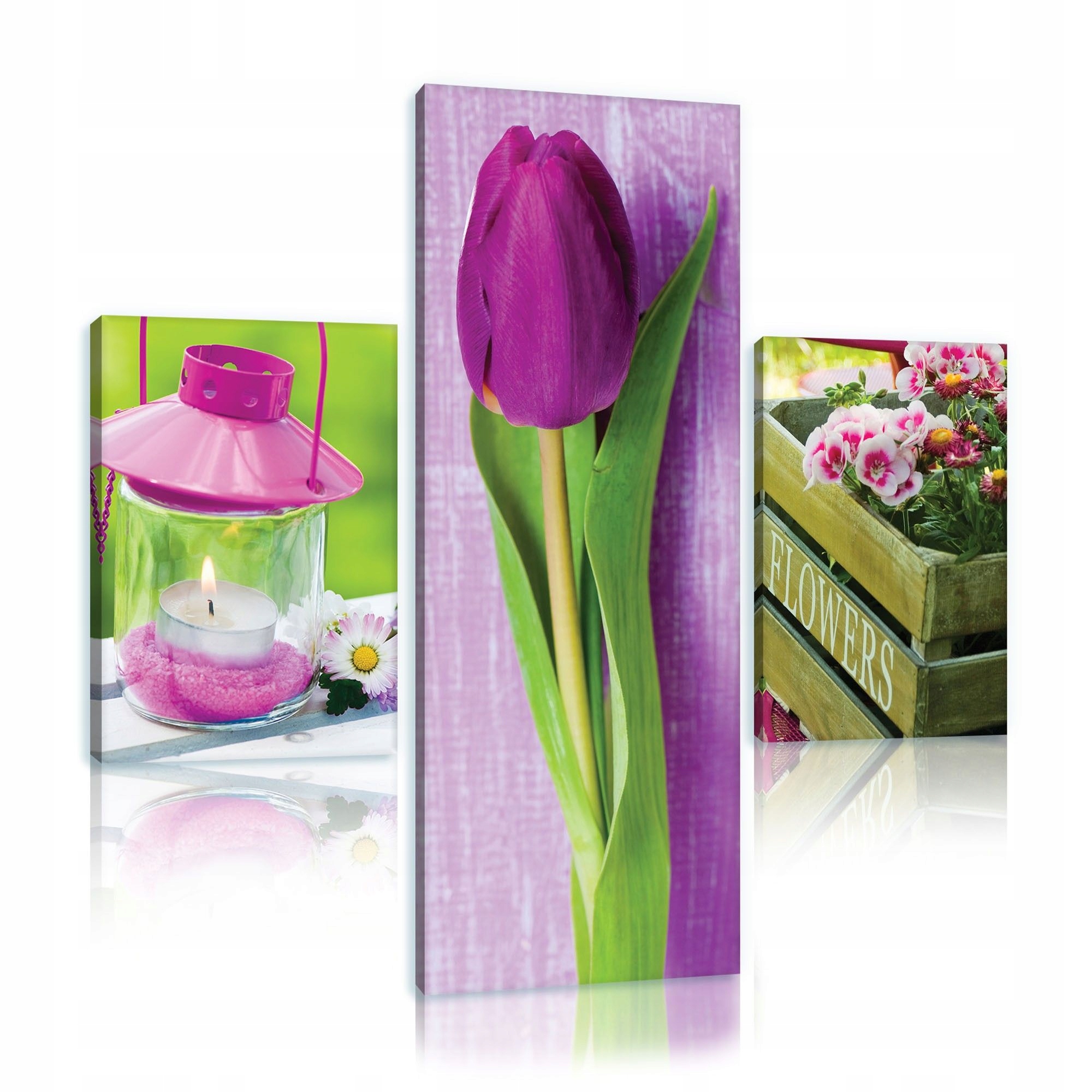 Obraz 80x80 Jaro léto květiny tulipán svíčka zahrada jemnost fialová