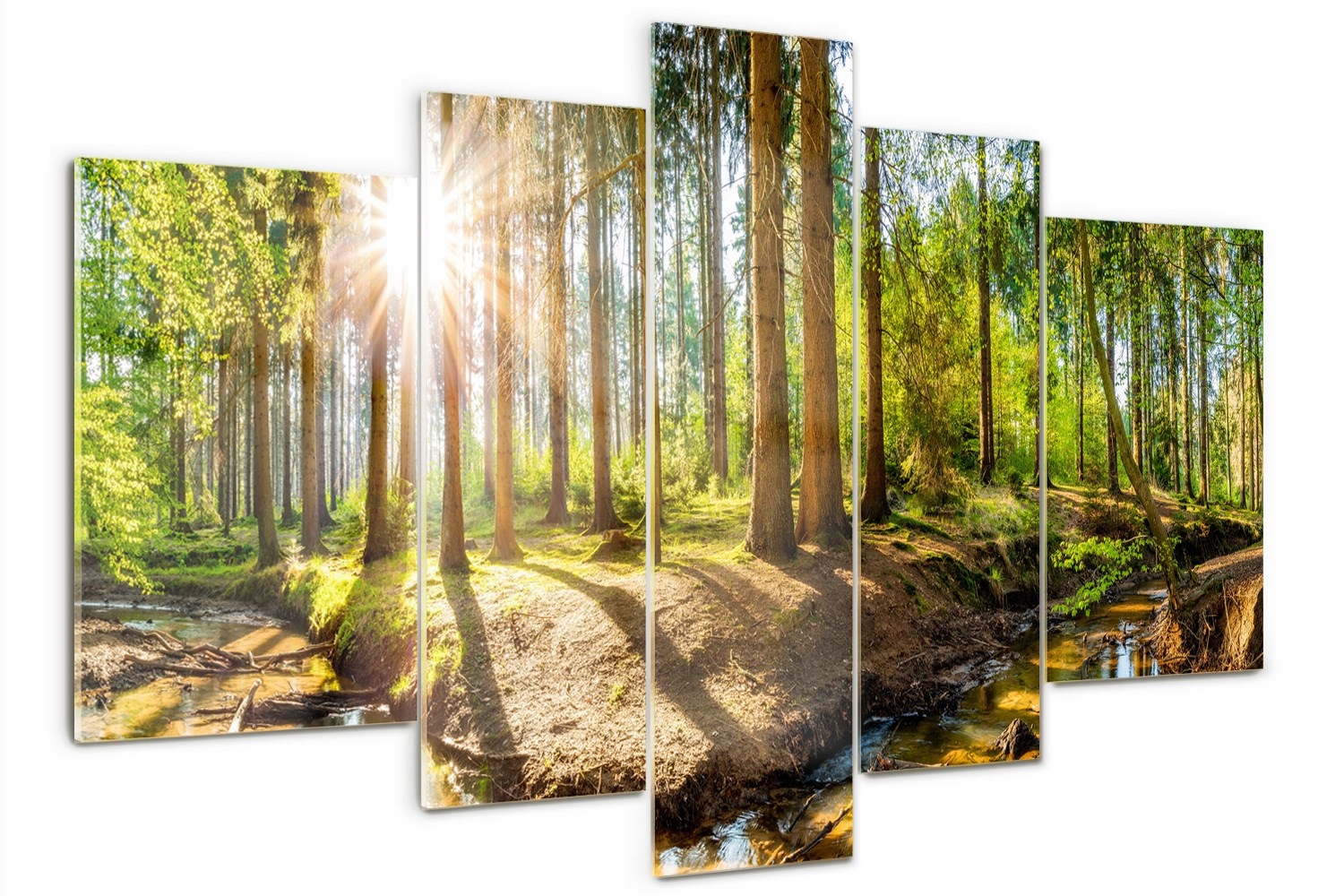 

Obraz szklany tryptyk na ścianę Panorama las