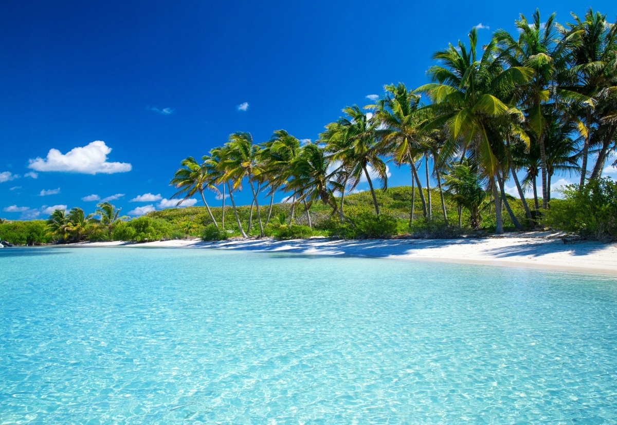 

Fototapeta Flizelinowa Plaża palmy 152x104