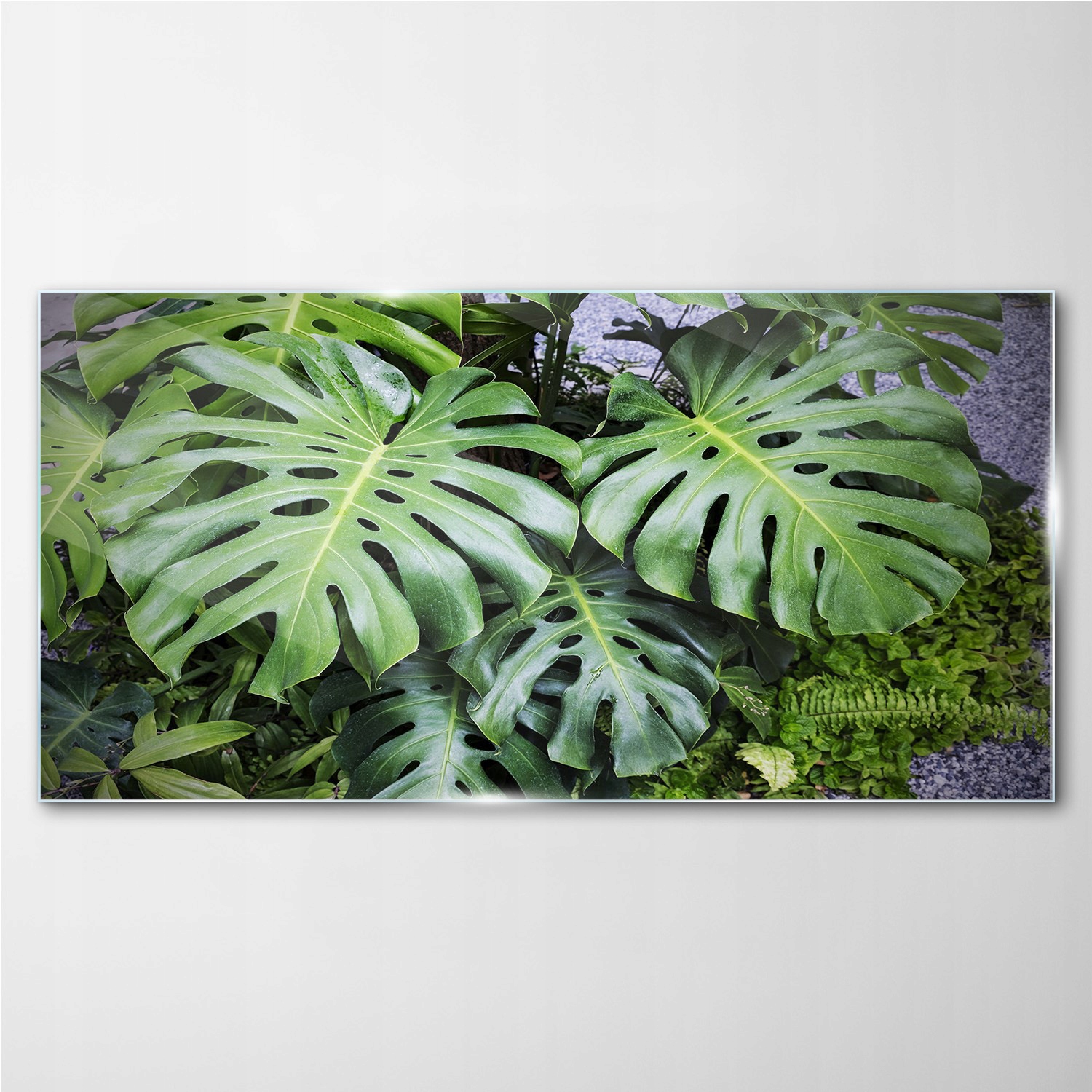 

Obraz do salonu Botaniczne rośliny liście 100x50