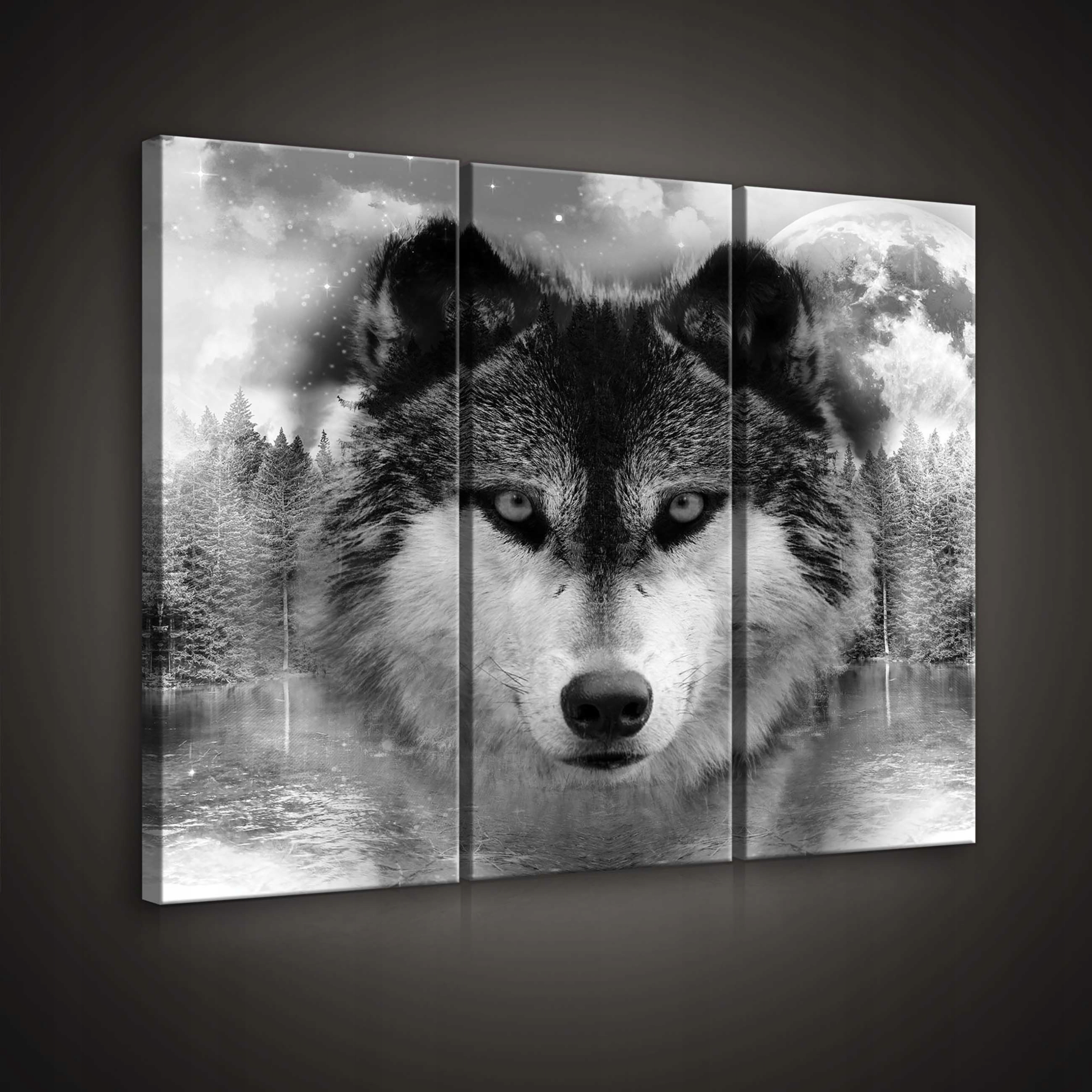 Obraz 90x80 Vlk noc les jezero měsíc příroda síla svoboda