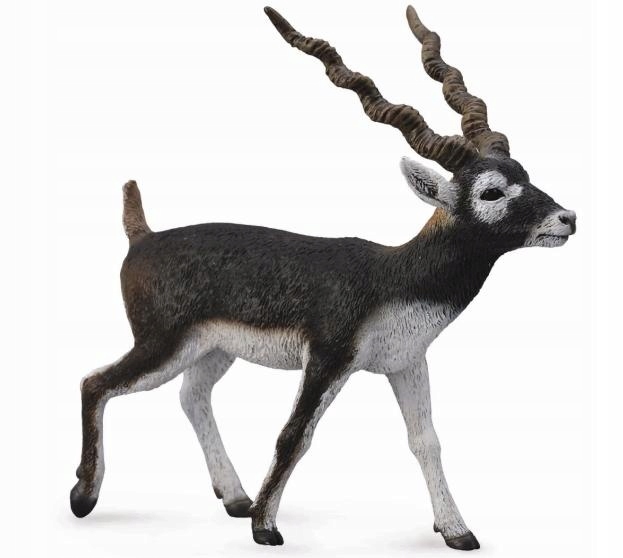 

Antylopa Blackbuck Blackbuck CollectA 88638