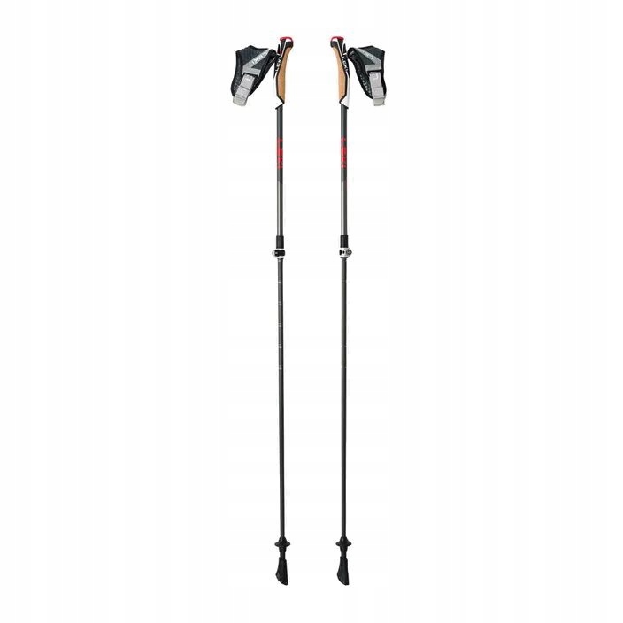 Nordic walking hole Leki černo-stříbrné 100-125 cm