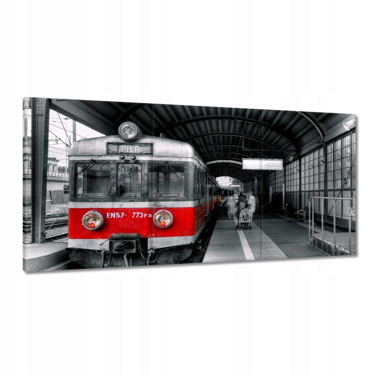 Obrazy 180x90 Vlak pro pilu EB57-773ra