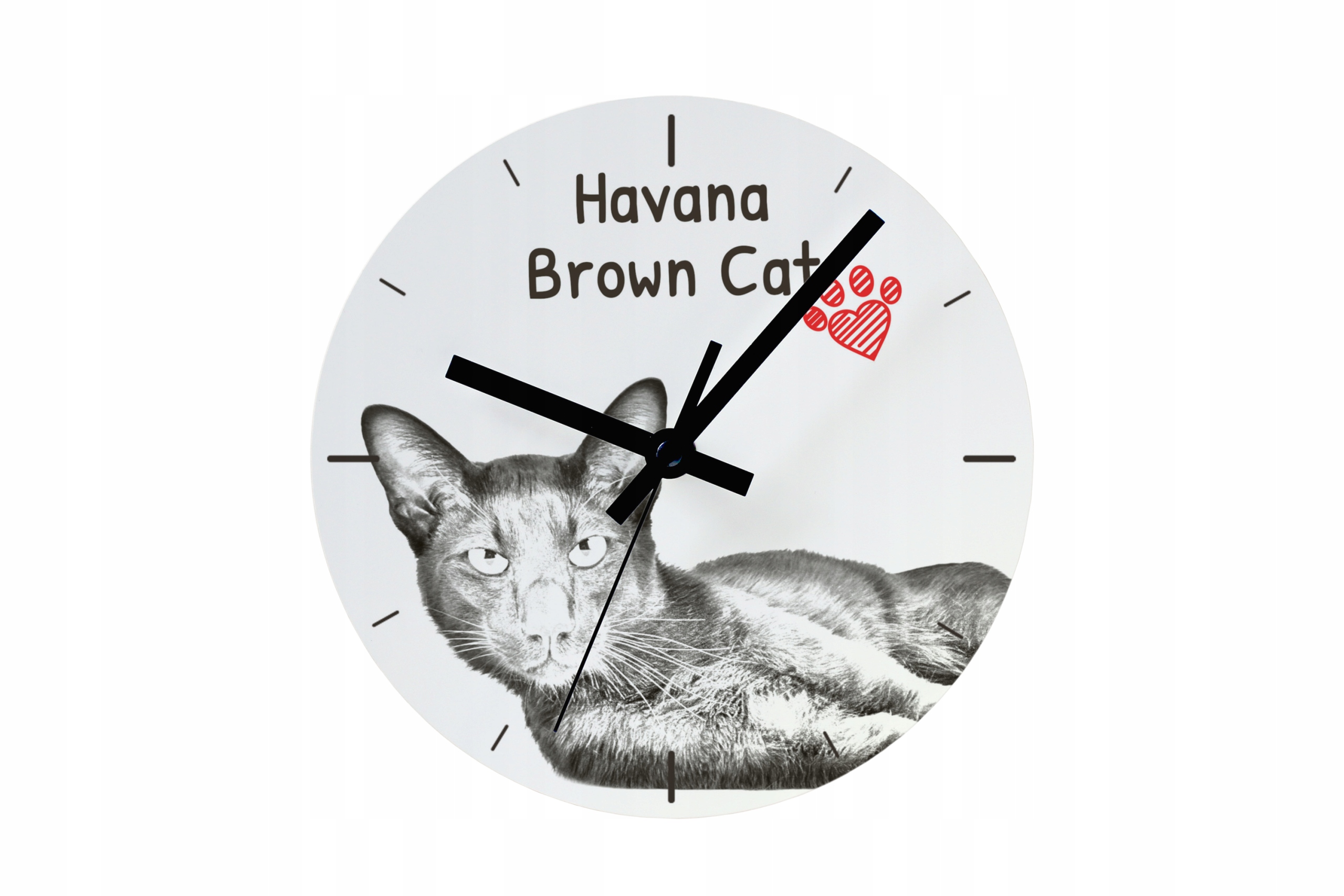 Kočka Havana Bronzové hodiny s kočkou, závěsné a stojící, personalizace fotografií