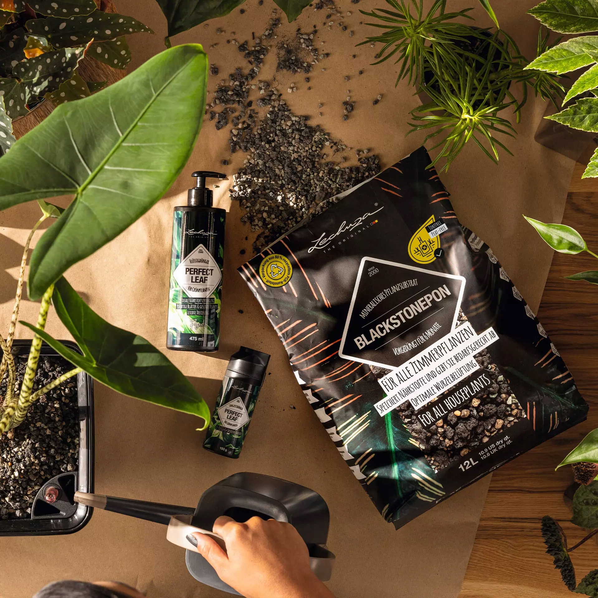 Podłoże roślinne BLACKSTONEPON12 litrów Lechuza Pojemność 12 l