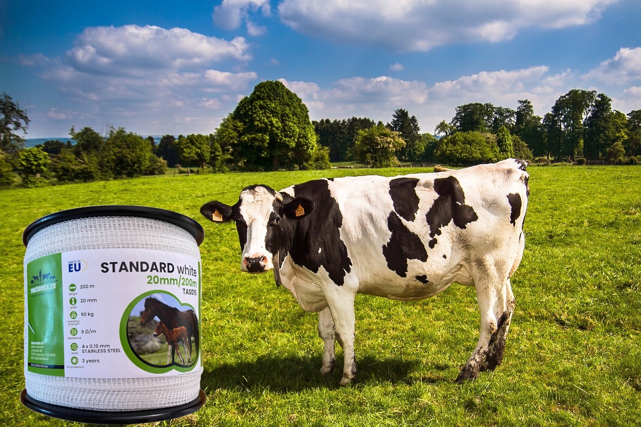 Taśma do pastucha elektrycznego ogrodzeniowa 20 mm 200 metrów koń konie Rodzaj taśma