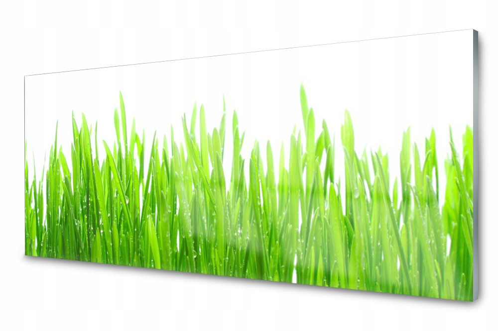 Skleněný panel do kuchyně Tráva Rostlina 125x50