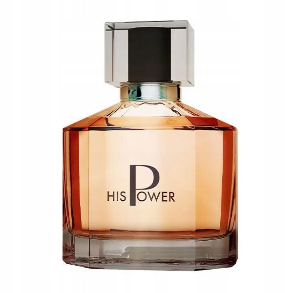 His Power woda perfumowana dla mężczyzn