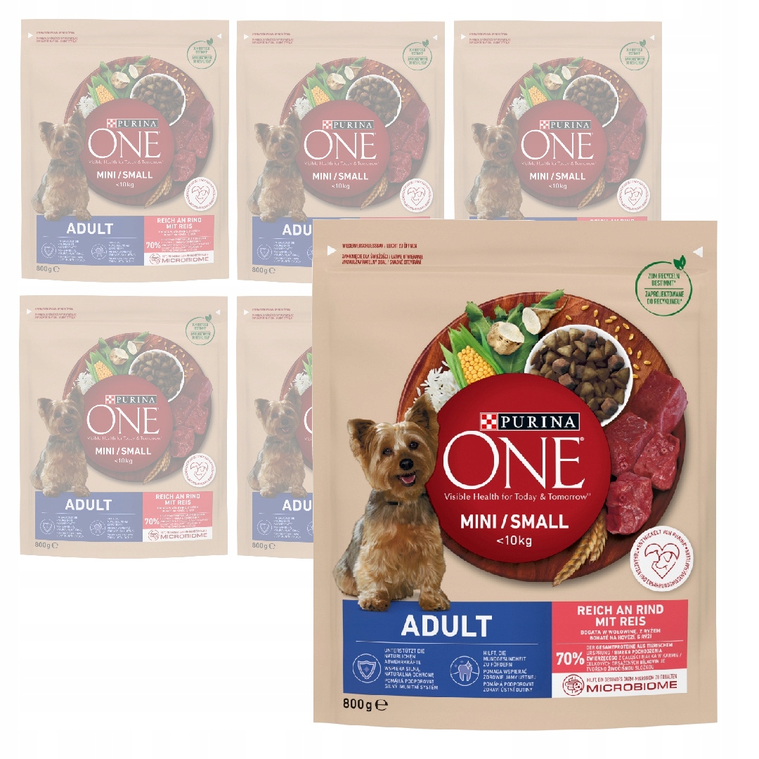 Levně Purina One Mini Adult 6x800g Suché Krmivo pro psy malých plemen Hovězí rýže