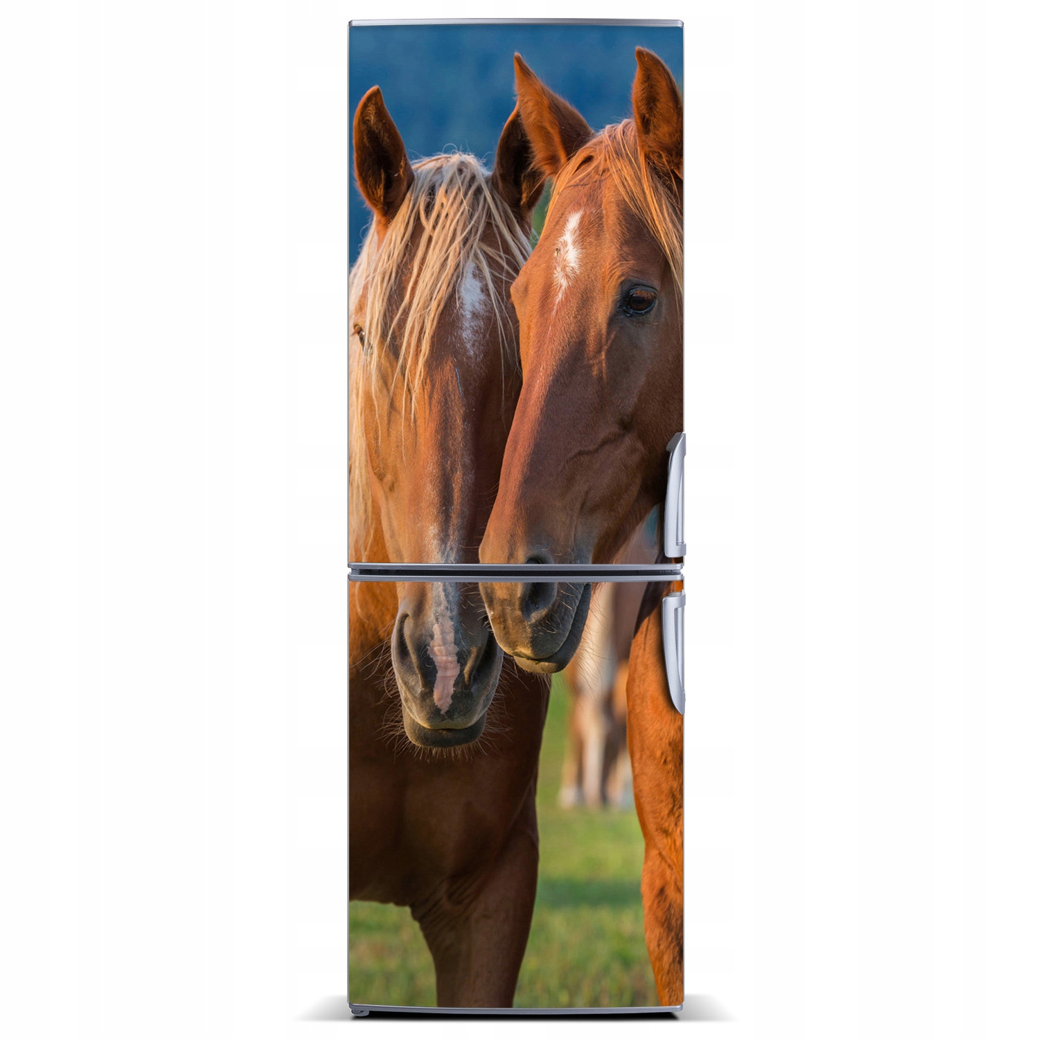 

Naklejka Magnes na lodówkę Dwa konie 60x180