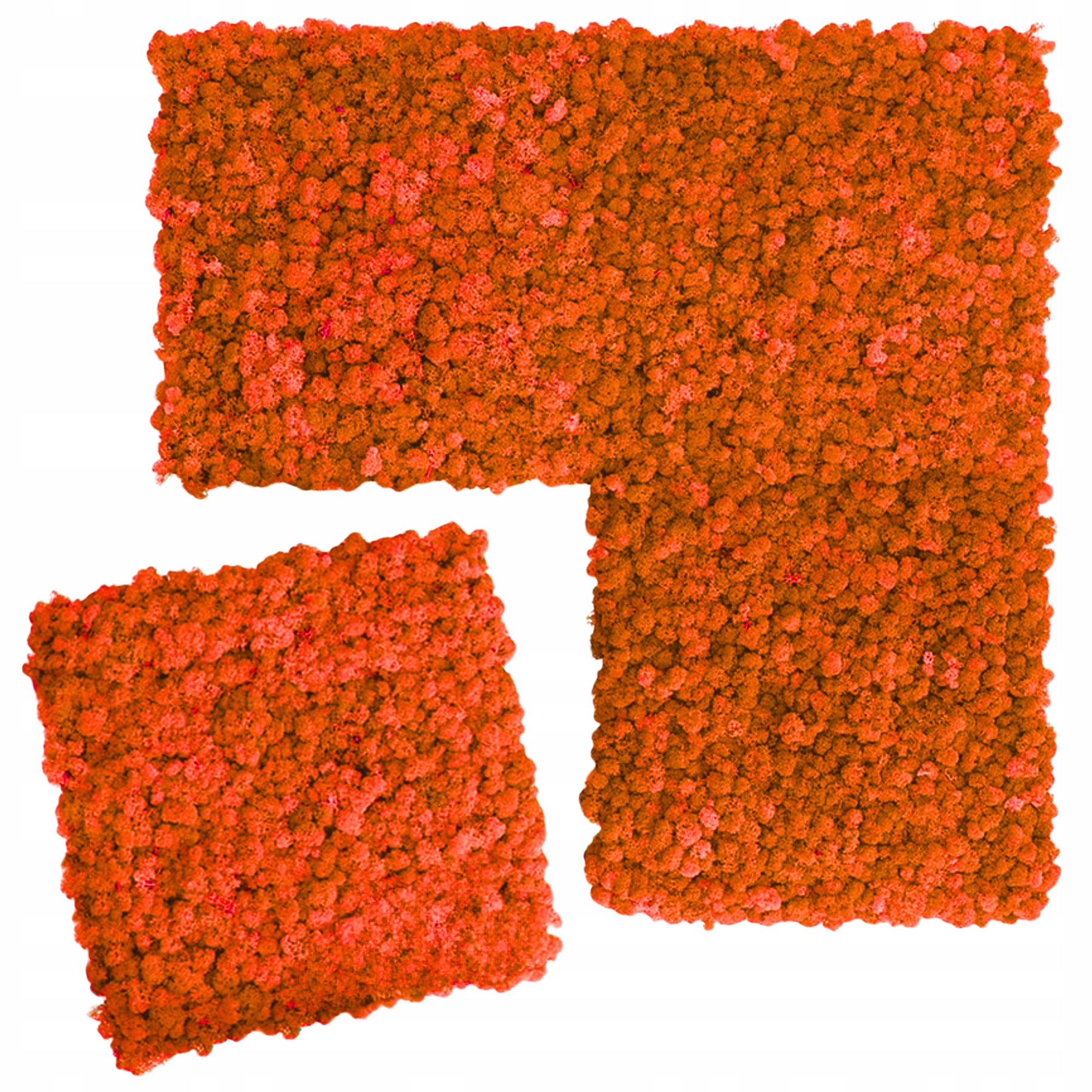 Mechový panel chrobotka sobí mech Zelená Stěna mechová stěna 50x50 cm