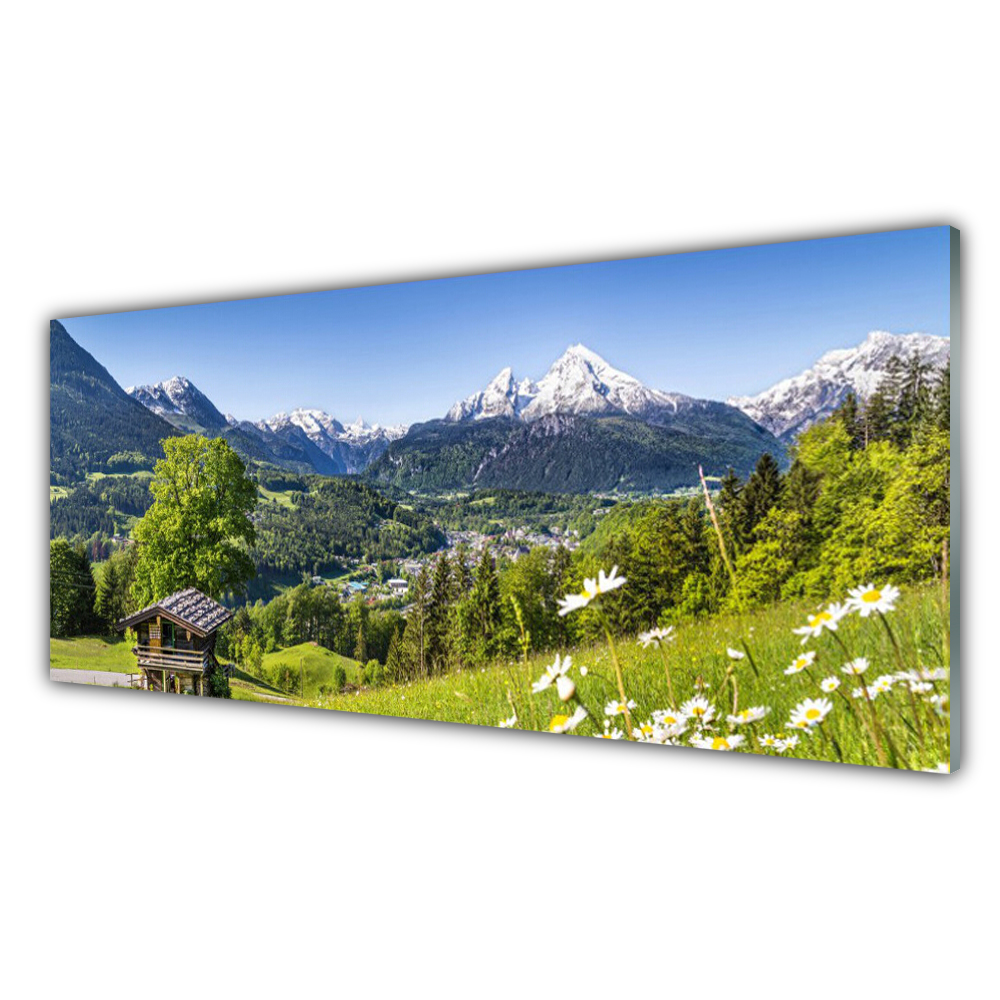 

Fotoobraz akryl nowoczesny 125x50 Góra Pola Natura