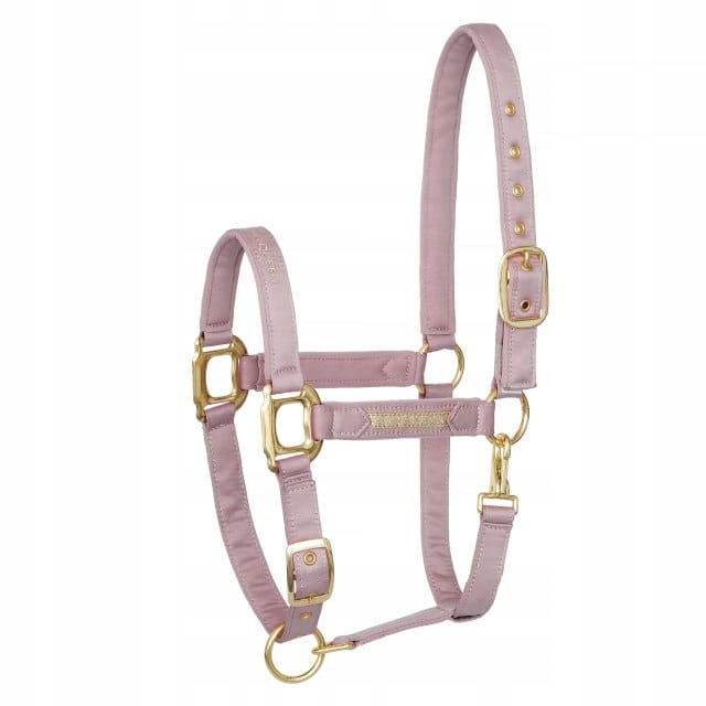 Uzda pro koně Equestrian Queen Milan 25AW saténový podšitý růžovou Cob