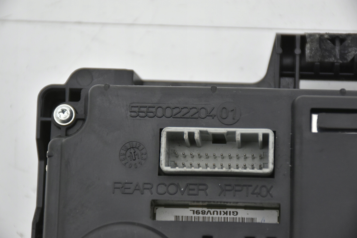 frame display RENAULT SCENIC III 248100973R