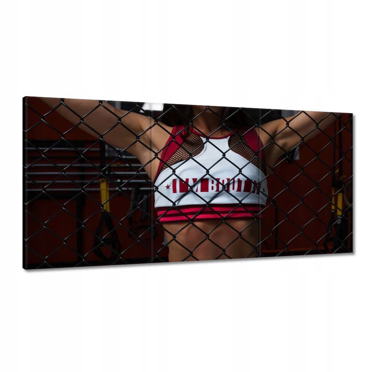 Obrazy 180x90 Laska bojuje za mrežami