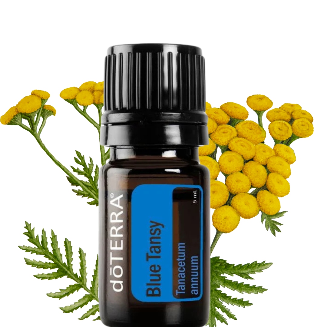 doTERRA Blue Tansy Niebieski Olejek Eteryczny 5ml do Aromaterapii
