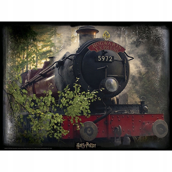 Harry Potter: Magiczne puzzle - Hogwart Express Rodzaj 3D