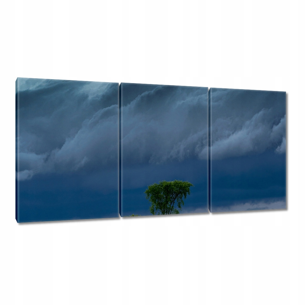 

Obrazy 120x60 Pole kukurydzy Drzewa