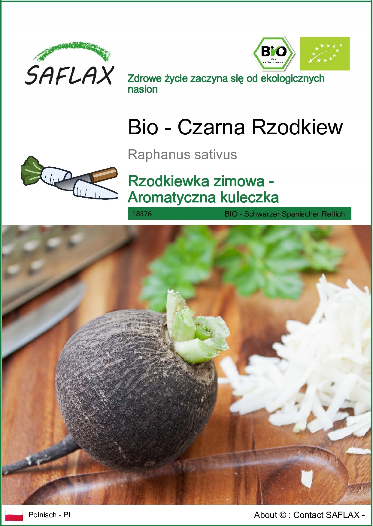 SAFLAX - Rzodkiew - Czarna - 100 Nasiona - Raphanus
