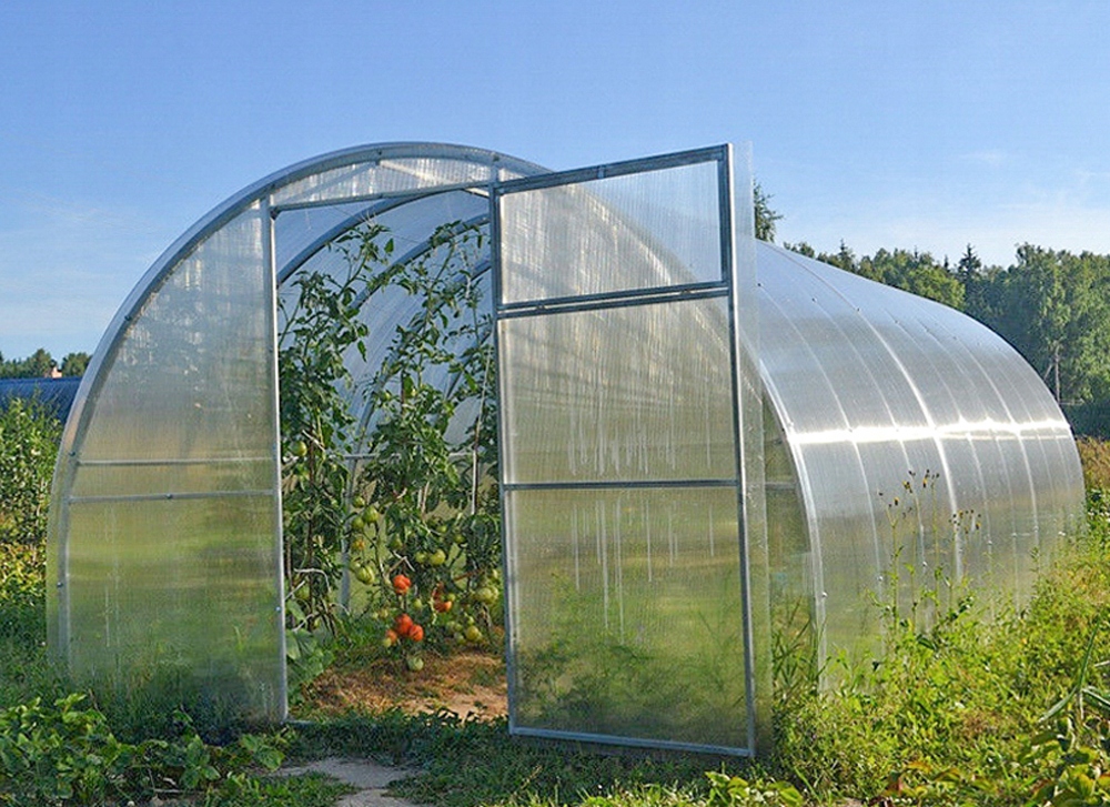 Szklarnia z poliwęglanu 3x6 m profil 40x20mm 4mm Długość 6 m