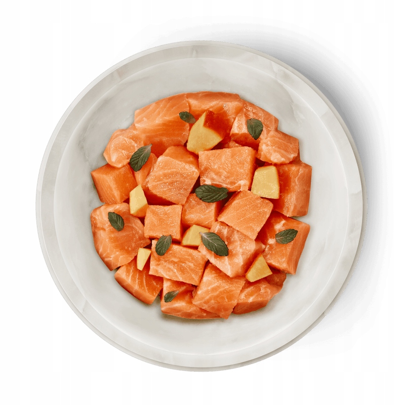 Levně 5x Terra Felis mokré krmivo pro kočky losos 80 g