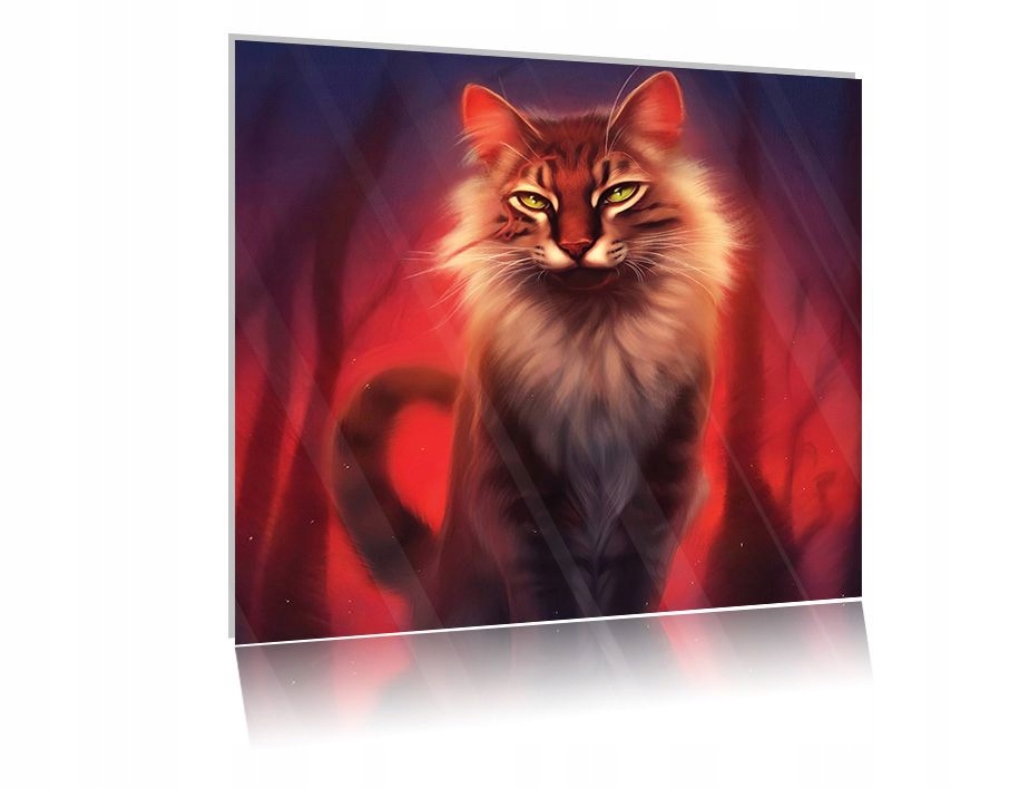 

Obraz szklany na szkle Kot 09 50x50