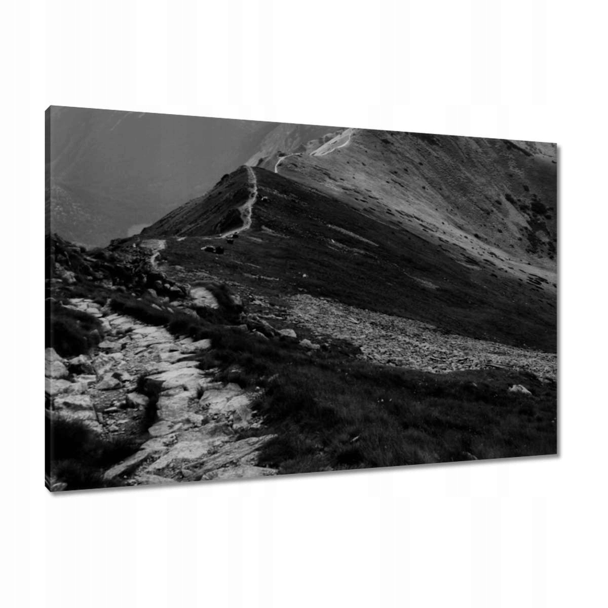 Obrazy 90x60 Tatry Polské hory Pohled