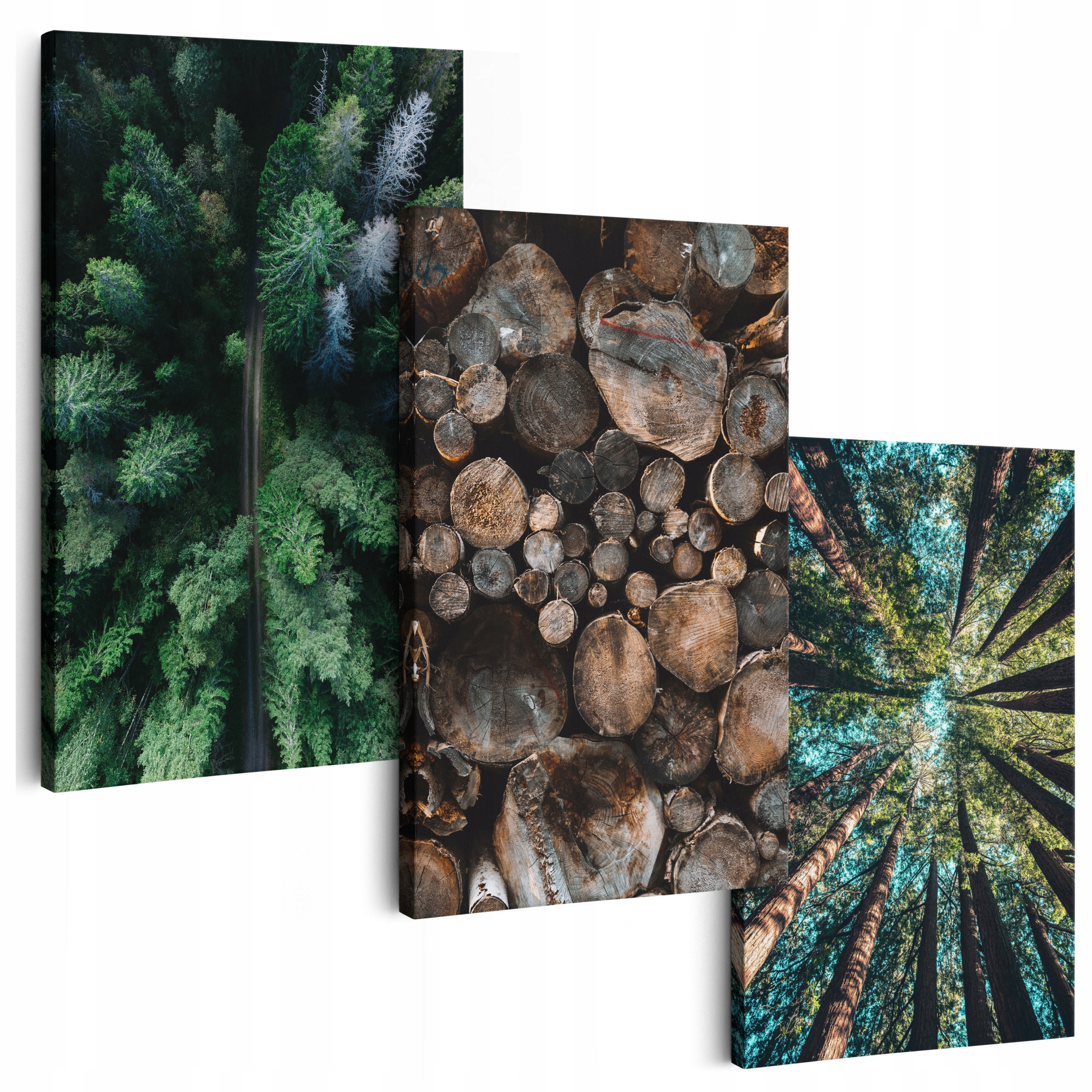 Obraz Na Plátne 180 cm **veľa vzorov** Obrazy Do Obývačky Na Stenu Les