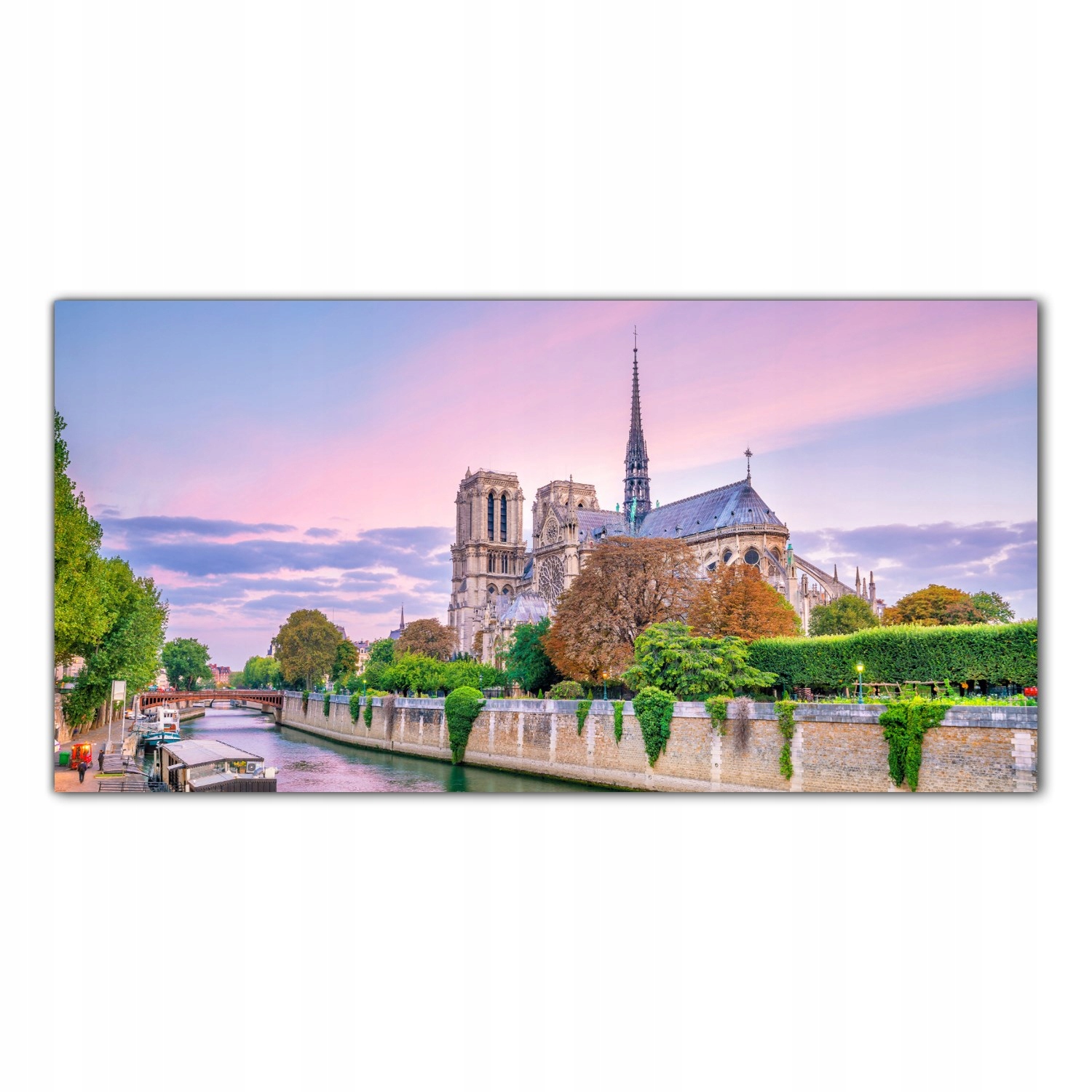 

Obraz Szklany Foto-obraz Notre Dame Miasto 120x60