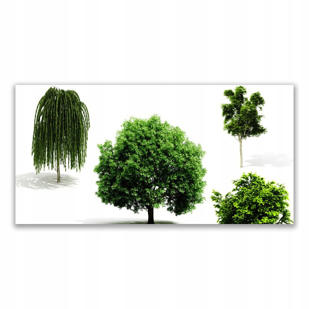 

Fotoobraz z grafiką 120x60 Drzewa Natura Przyroda