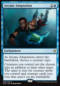 Arcane Adaptation - combo karta @@@@
