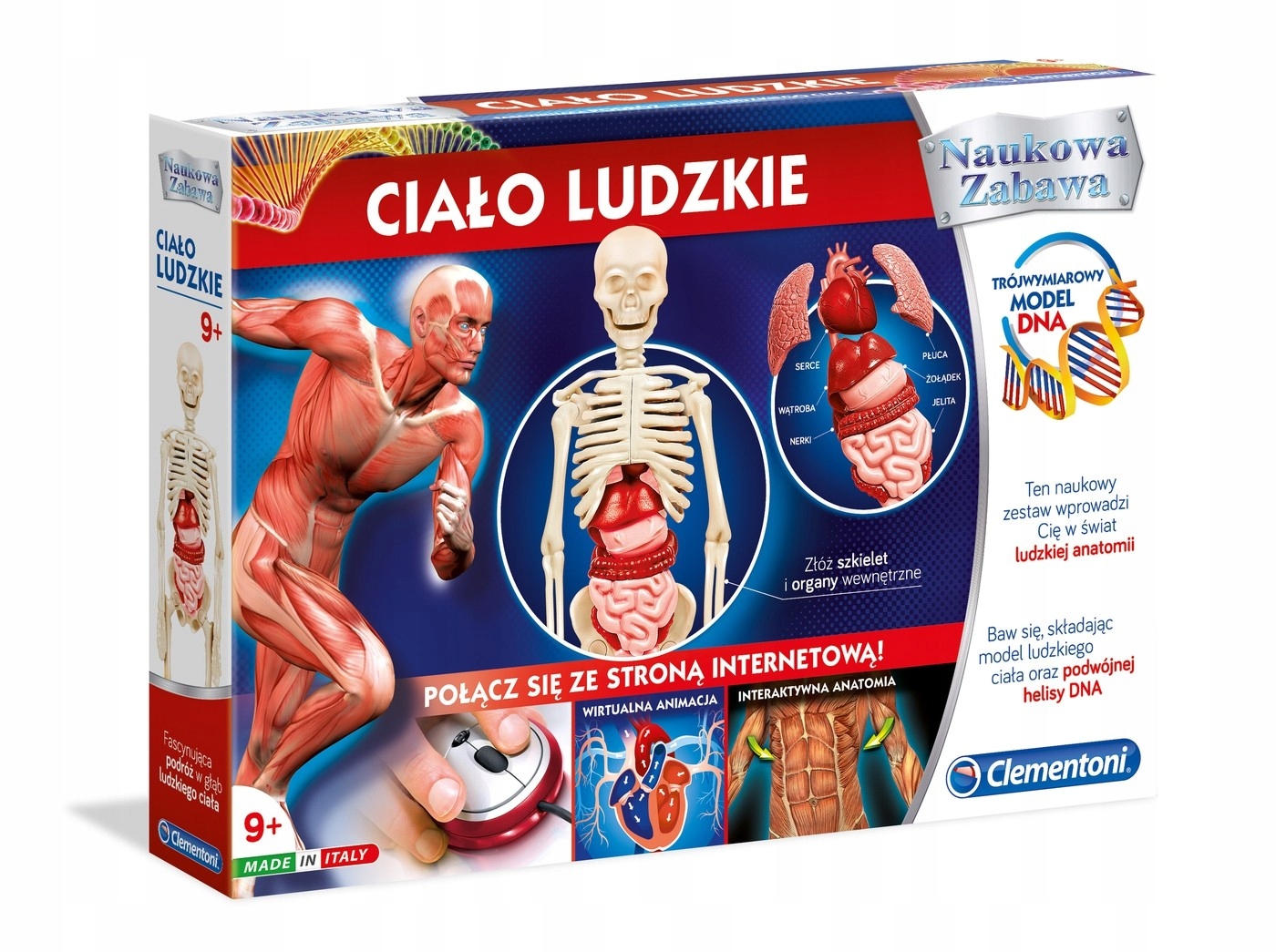 

602490 Clementoni Naukowa Zabawa Ciało Ludzkie