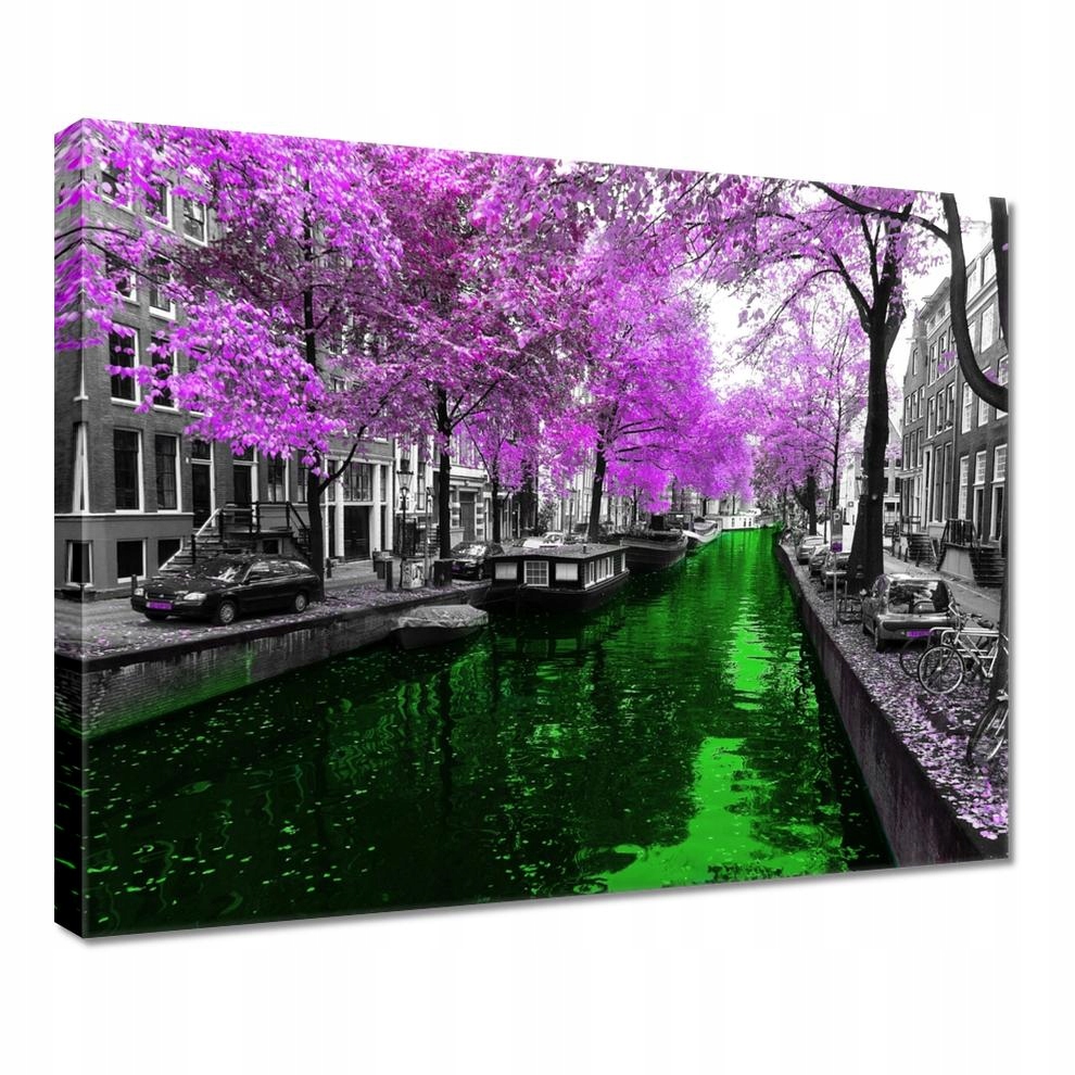 

Obrazy 50x40 Amsterdam