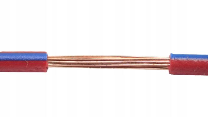 

Przewód Kabel Flry-b 1x0,5mm Czerwono Niebie 1M