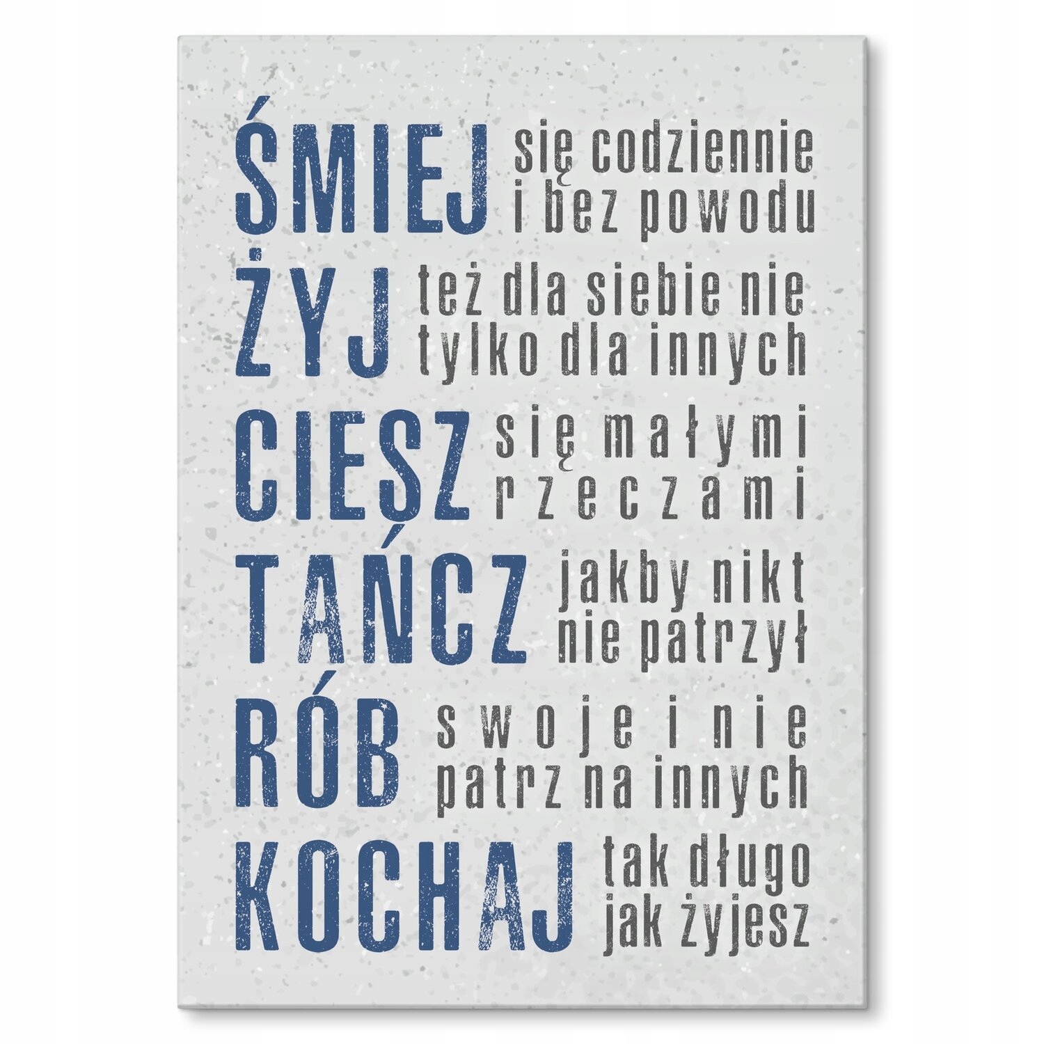 Kovový plakát Směj se a žij Dárek 42 x 59 cm