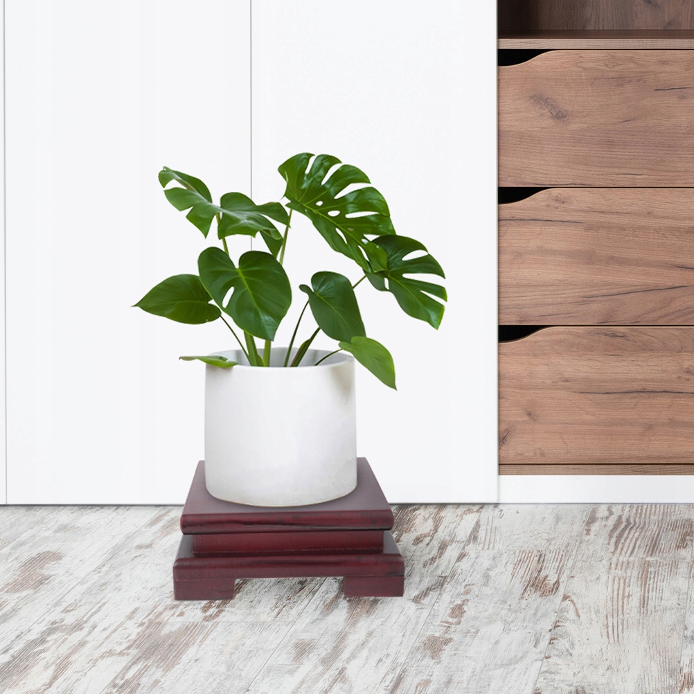 PODSTAWA Z DREWNA PODSTAWA DREWNIANA WSPORNIK NA ROŚLINY Kod producenta 56656658