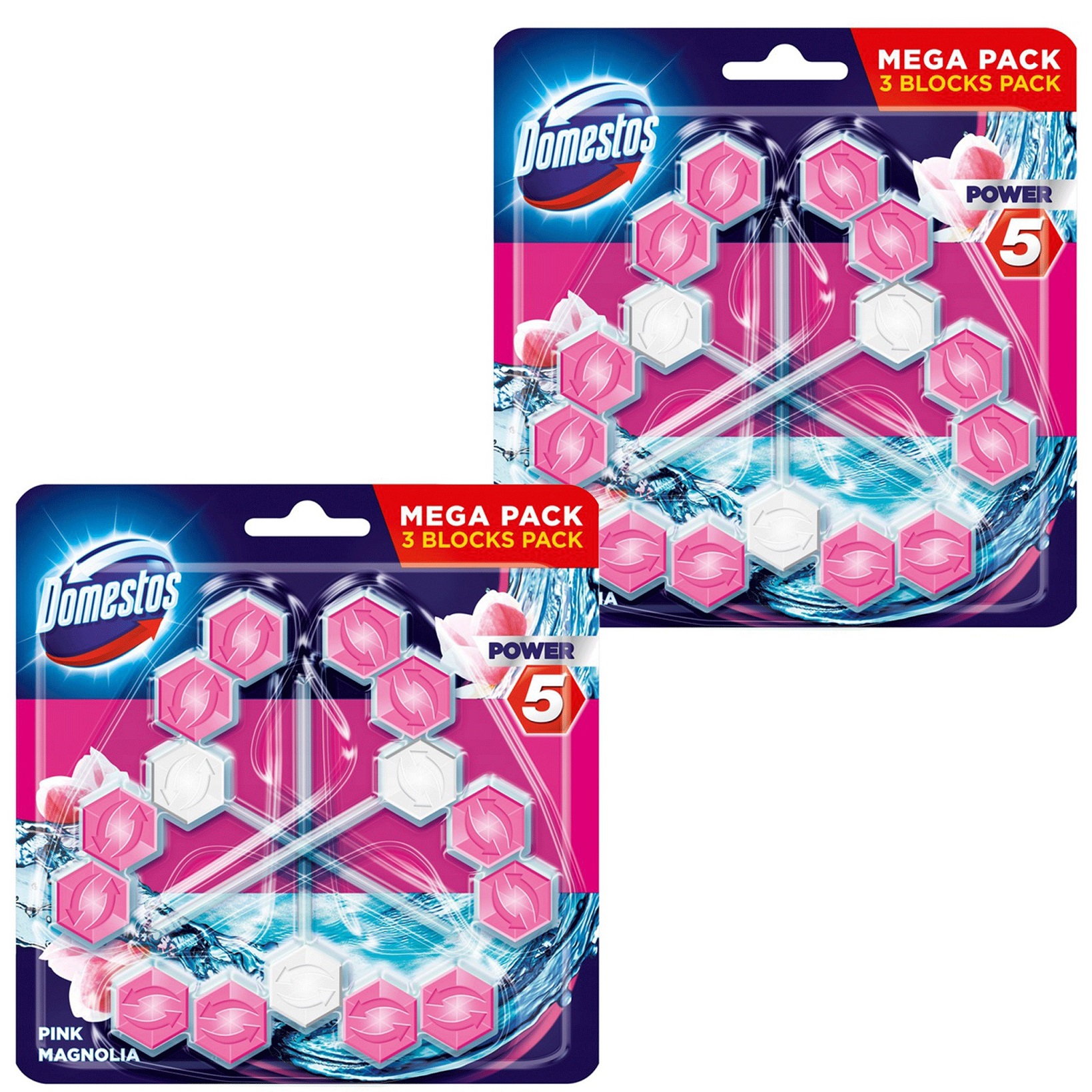 Levně Domestos Power5 Magnolia Wc kostka 6x55g