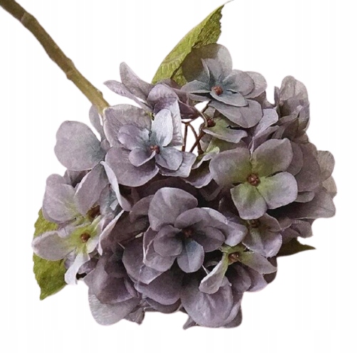 HORTENSJA SZARA JEDWABNA GŁOWA O ŚR. 15-16CM